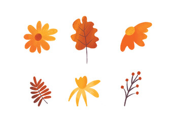 Colorful autumn leaves in heart shape. Fall nature elements for decor. On white background.Hand drawn of fall season foliage vectors for card, print, graphic, decorative.