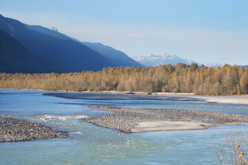 Beautiful view of the Squamish River during a fall season at the Eagle Run vista point in Brackendale, Squamish, British Columbia, Canada