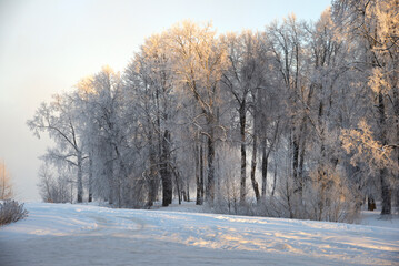 Obraz premium A frosty January day in the park