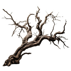 Dead tree on transparent background PNG for Halloween and horror decorations - obrazy, fototapety, plakaty