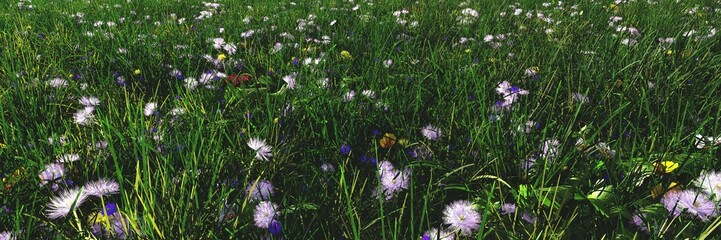 Floral herbal background, lawn of flowers, glade of flowers, 3D rendering © ustas