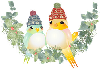 zwei bunte Vögel mit Bommelmütze für Weihnachten