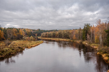 Naklejka na ściany i meble Beautiful autumn landscape on Gauja river with bright colorful foliage on overcast autumn day.