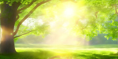 Summer nature background with sun rays shining through the branches of a tree