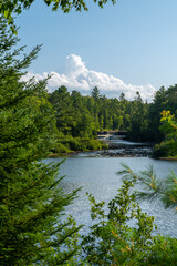 Summer Foilage around Lower Tahquamenon Falls river flow