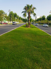 Obraz premium Road surrounded by nature scenery