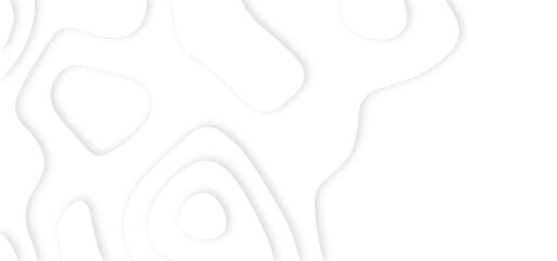 White abstract geometric pattern background, wave and curve abstract background. Abstract wavy line 3d paper cut white background.