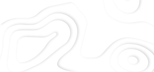 White abstract geometric pattern background, wave and curve abstract background. Abstract wavy line 3d paper cut white background.