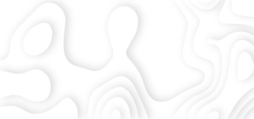 White abstract geometric pattern background, wave and curve abstract background. Abstract wavy line 3d paper cut white background.