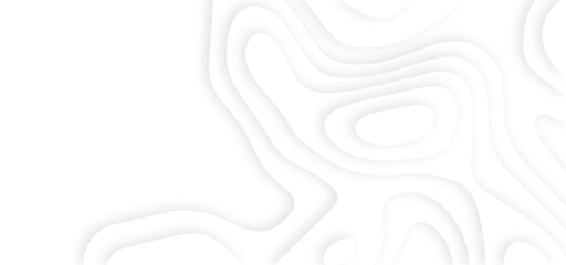 White abstract geometric pattern background, wave and curve abstract background. Abstract wavy line 3d paper cut white background.