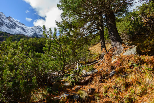 Herrliche herbstliche Berglandschaft im Zillertal in Tirol