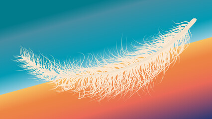 Background feather on the desert landscape