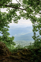 View of a mountain landscape through tree branches