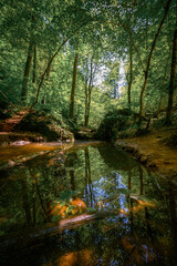 Light and shadow in a city park