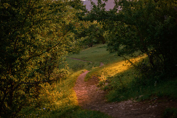 Light and shadow in a city park