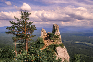 Single rock with tree in the middle of a mountain landscape