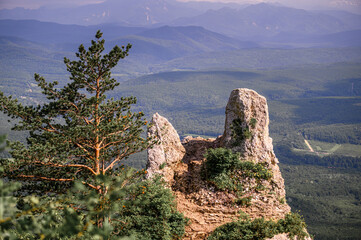 Single rock with tree in the middle of a mountain landscape