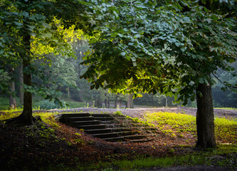 Light and shadow in a city park
