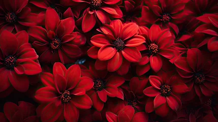 A serene valentines arrangement of deep red flowers. Crimson petals in art for wedding, mothers day, 8. march, jewel, gem, celebration, spa, wellness, fashion event.  © Dannchez
