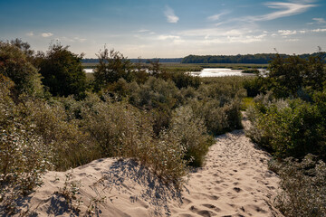 Morgendlicher Blick von den Ostseedünen am Europäischen Fernwanderweg E9 auf das Naturschutzgebiet 