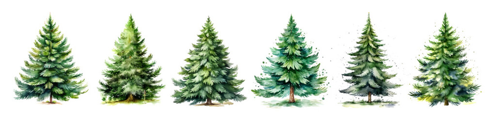 Set of watercolor fir trees isolated on white background