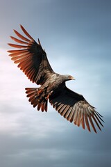 Obraz premium A picture of a bird in flight against the sky. Can be used to depict freedom, nature, or wildlife.