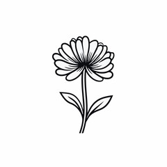 Aster  in cartoon, doodle style. 2d vector illustration in logo, icon style. AI Generative