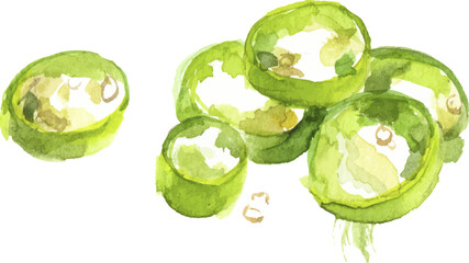 Vector Watercolor painted chili pepper. Hand drawn fresh food design element isolated on white background.