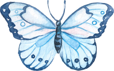 Vector Watercolor painted butterfly. Hand drawn design elements isolated on white background.