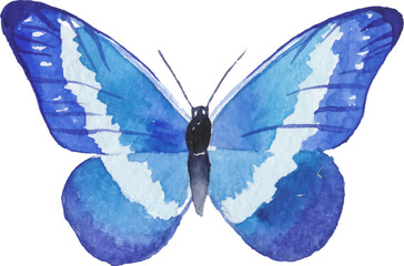 Vector Watercolor painted butterfly. Hand drawn design elements isolated on white background.
