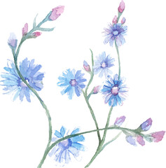 Vector Watercolor painted flower. Hand drawn flower design elements isolated on white background.