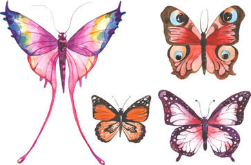 Vector Watercolor painted butterfly. Hand drawn design elements isolated on white background.