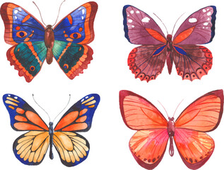 Obraz premium Vector Watercolor painted butterfly. Hand drawn design elements isolated on white background.