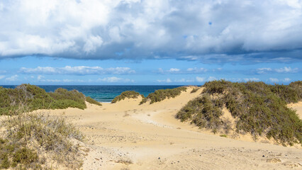 The Sand Dunes of Corralejo on Ferteventura