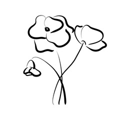 Abstract illustration of poppies. Minimalistic drawing of wild flowers. Flowering plant isolated on white background. Hand drawn flowers, imitation ink, brushes. Vector image.
