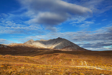 Autumn in polar tundra