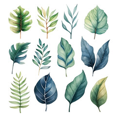 Set of Exotic Palm Leaves and Monstera Watercolour Illustration| Isolated on Transparent & White Background | PNG File with Transparency