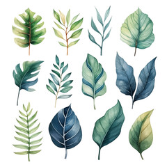 Fototapeta premium Set of Exotic Palm Leaves and Monstera Watercolour Illustration| Isolated on Transparent & White Background | PNG File with Transparency
