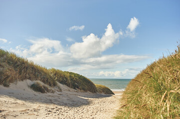 Path through the dunes and onto the beach in Denmark. High quality photo - 669287839