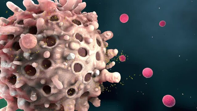 Leukocytes or immune cells seclude antibodies into blood plasma on immune response - 3d illustration