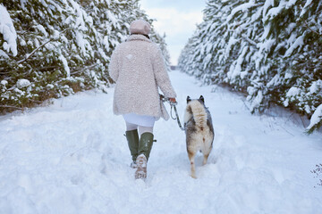 Fototapeta na wymiar a girl with a Husky dog runs in a snowy forest, a walk in the winter forest
