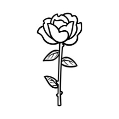 Rose flower illustration. Easy drawing line art. Simple vector isolated on a white background. 
