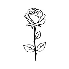 Rose flower illustration. Easy drawing line art. Simple vector isolated on a white background. 
