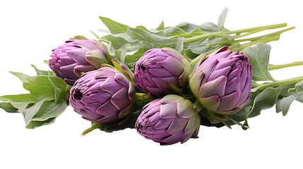 Fototapeta premium fresh raw purple artichoke isolated on transparent background