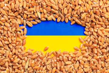 Ukraine flag on a background of wheat grain. Concept of grain deal and world food security. Texture