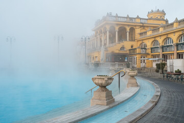 Szechenyi Baths in Budapest in winter, Hungary - obrazy, fototapety, plakaty
