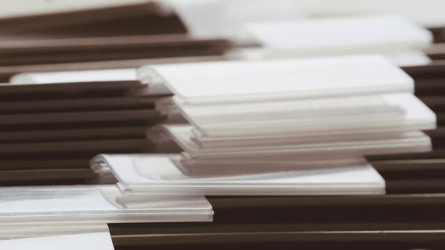 close-up cardboard folders, slider movement through archive documents, file cabinet HR department, concept family tree, organize financial documents, accounting records, tax declarations, legal acts