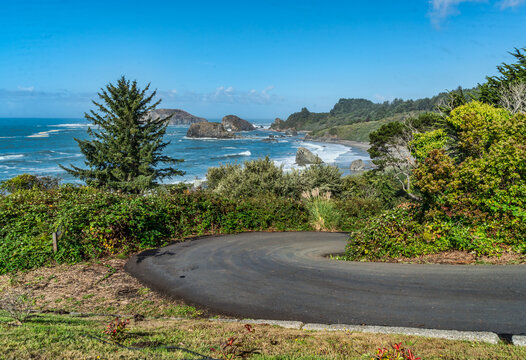 Oregon Front Yard View 5