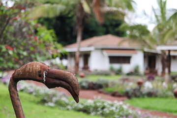 rusty bird