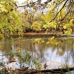 Olentangy River in Autumn, Columbus, Ohio